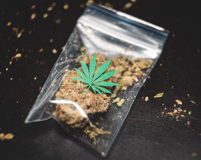 Cannabis Produkte für Konsumenten: Genuss, Medizin & Kosmetik