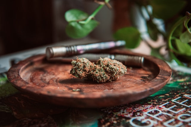 Terpen Entourage Effekt: Wie Terpene die Cannabis-Wirkung verstärken