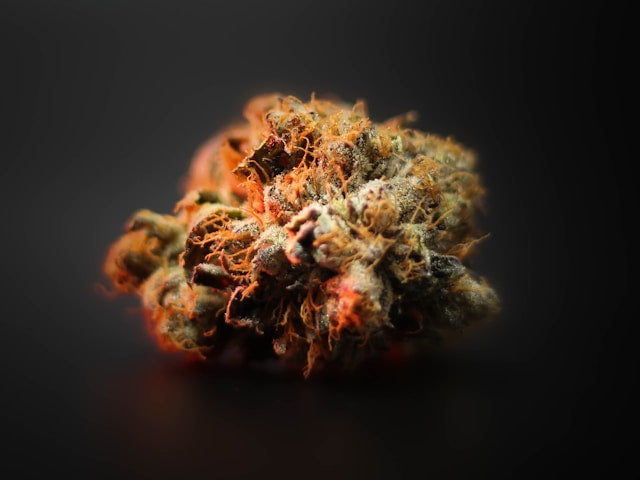 THC Wirkung: Was im Körper passiert, wenn du THC konsumierst