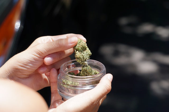 Cannabistherapie für Patienten: Alles, was du wissen musst