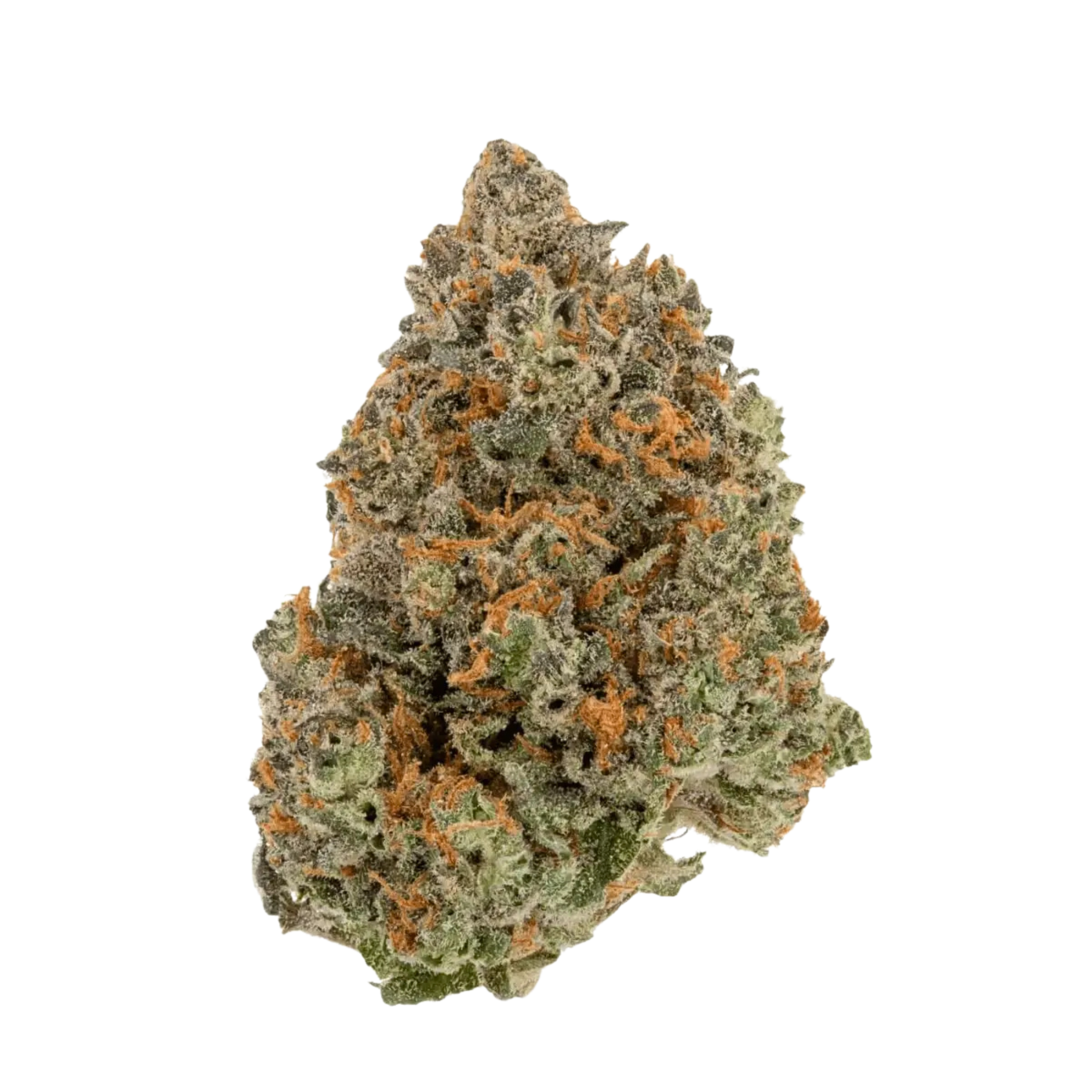 Avaay TUBITTI FRUBITTI 31/1 (Kanada) (Copy)