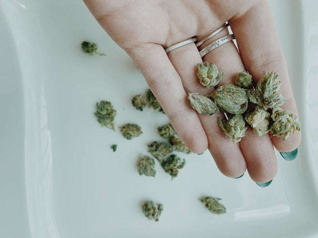 Cannabis-Nachweis