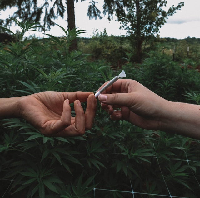 Cannabis Konsum öffentlich: Was du wissen musst