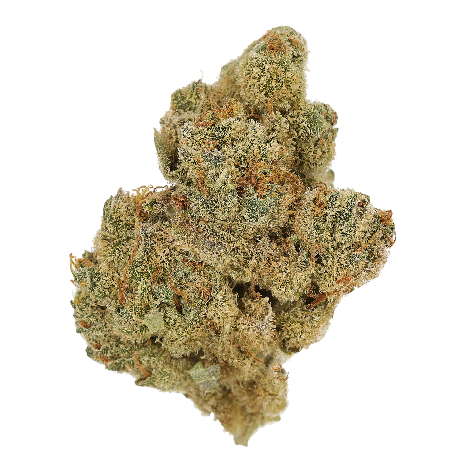Cannamedical Indica forte BC Tangerine Boost (British Columbia)