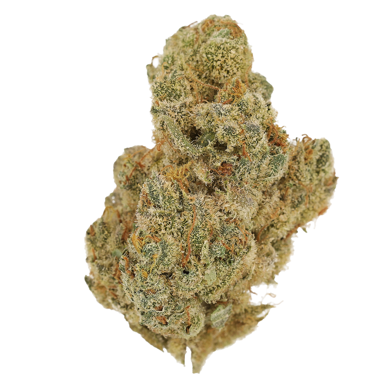 Cannamedical Indica forte BC Tangerine Boost (British Columbia)